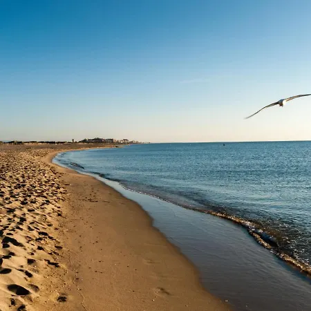 Grand Sud-14 By Interhome Apartment Canet-en-Roussillon